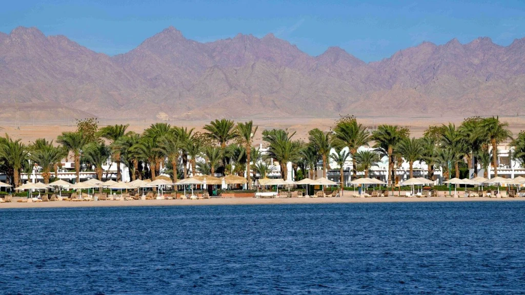 الفندق مينافيل ريزورت - سفاجا